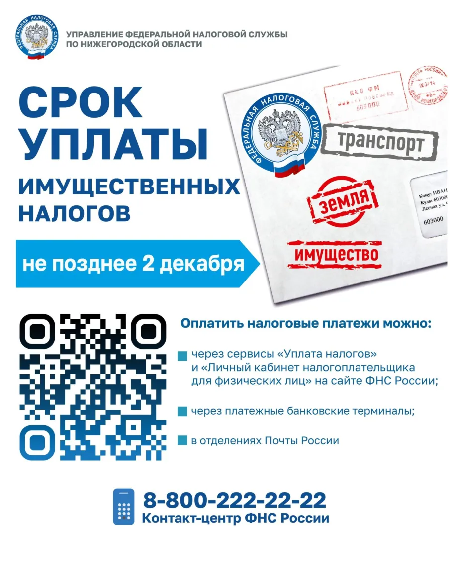 О налогах и налоговых уведомлениях, направленных в 2024 году